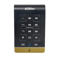 i304C�T���C(j��)