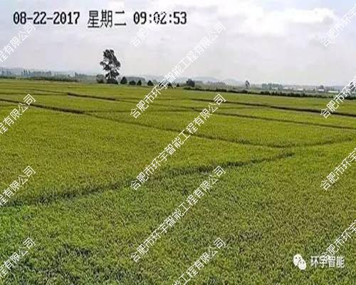 水稻種植基地視頻監(jiān)控系統(tǒng)工程