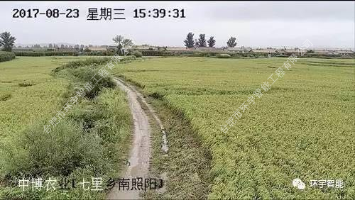 1733278525125842.png 圖片 14.png