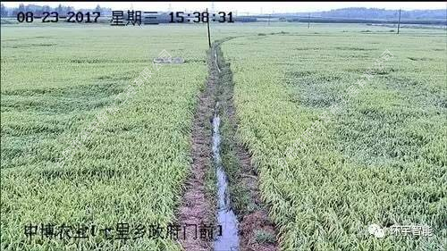 1733278540126784.png 圖片 17.png